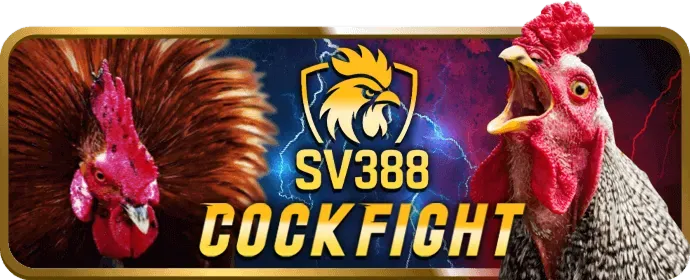 Hướng dẫn cá cược thể thao 12win casino